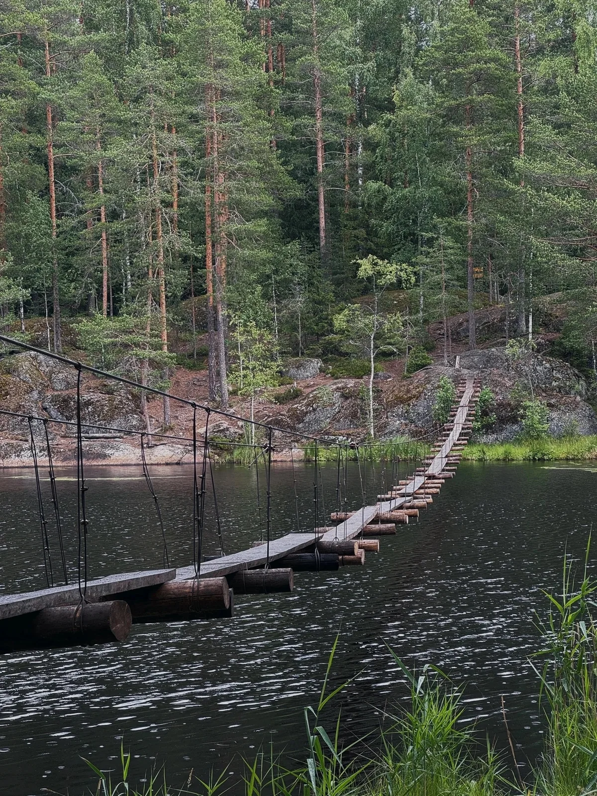 Поход-camp в Кузнечном
