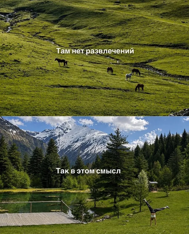 Планы на лето и осень