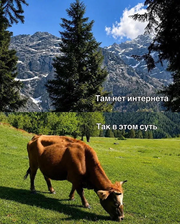 Планы на лето и осень