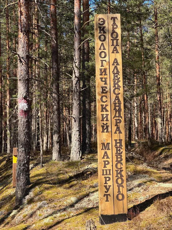 ПВД по тропе Александра Невского