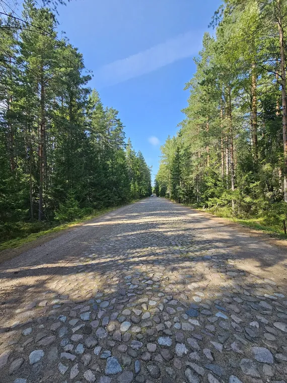 Поездка на Кургальский полуостров