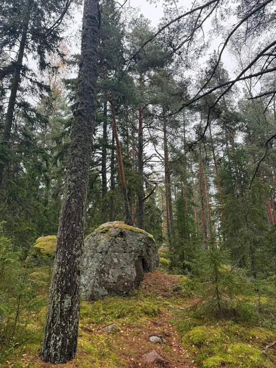 ГАСТРО|Hike у Финского залива