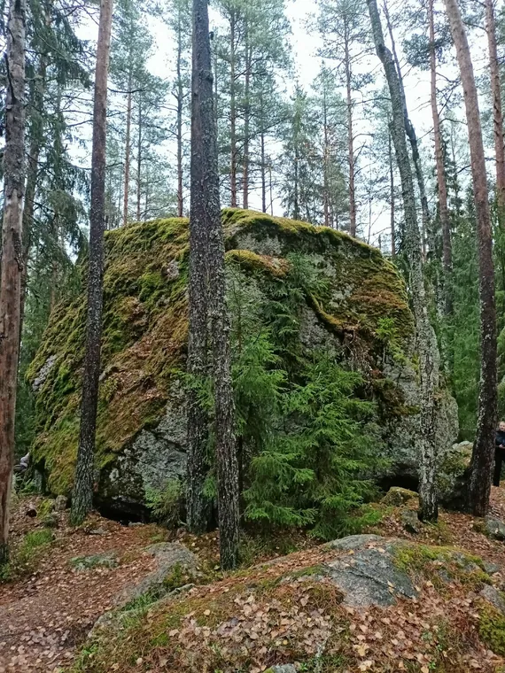 Скалы за Выборгом