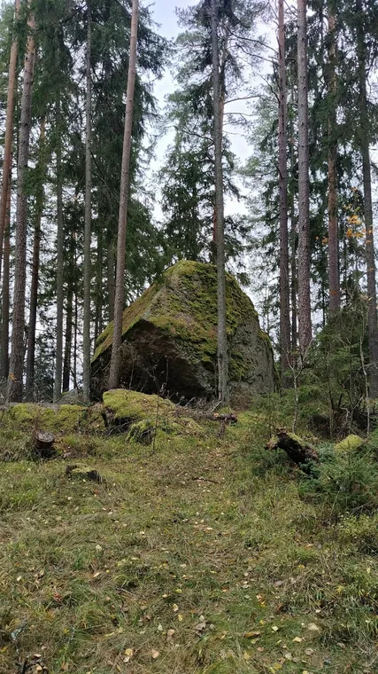 ГАСТРО|Hike: обед у залива и деревни XVI века
