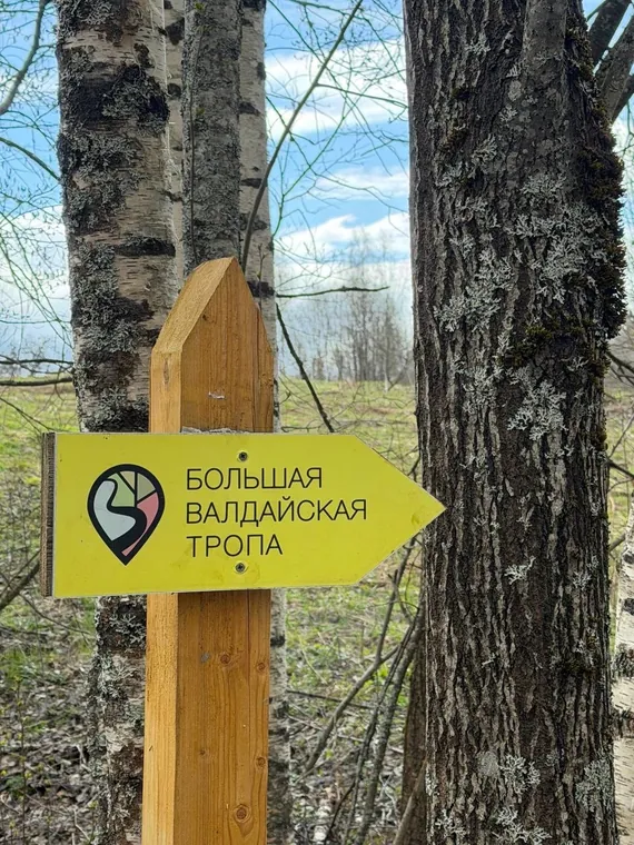 Большая Валдайская «семья»